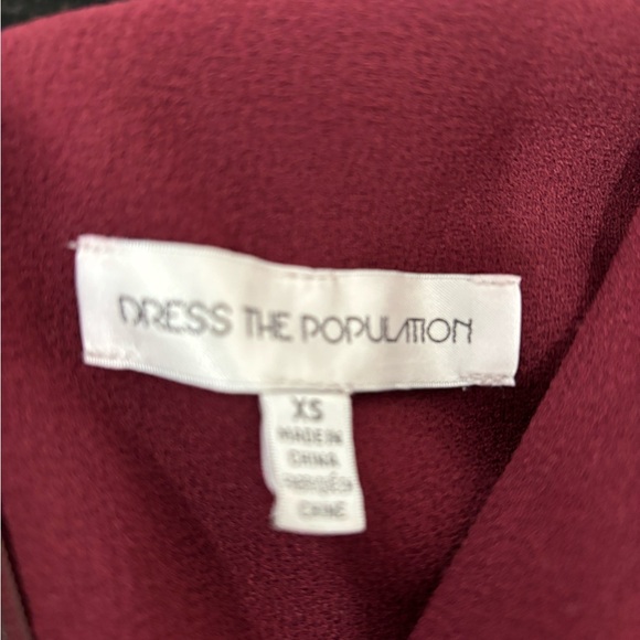 Dress the Population Corey Chiffon Fit & Flare Cocktail Dress - Picture 4 of 5